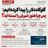 گلوگاه دلار را پیدا کرده‌ایم؛ پس چرا هنوز شیرش را نبسته‌اید؟