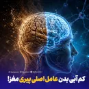 کم آبی بدن عامل اصلی پیری مغز!