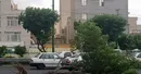 تندباد ۸۰ کیلومتری به خودروها و فضای سبز بجنورد خسارت زد