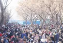 در حسرت یک زندگی معمولی