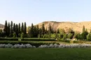 باغ جهان نما شیراز + تصاویر