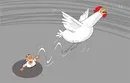 دست دلالان از بازار مرغ کوتاه می‌شود‌