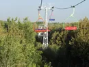 حادثه در تله سیژ ناژوان/۷ نفر محبوس شدند