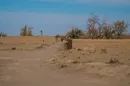 بیابان‌زایی؛ زخمی بر پیکر سرزمینی ایران