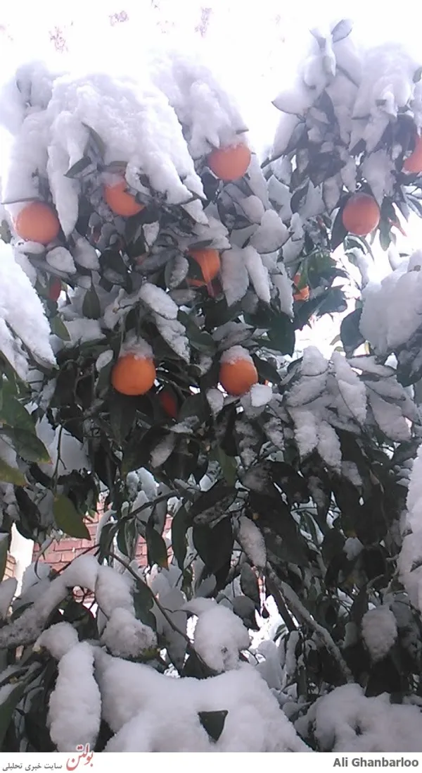 عکس با موبایل