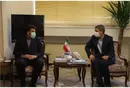 سهم فارس از تسهیلات مشاغل خانگی افزایش یابد