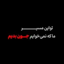 «محله به محله»؛ روایت میزبانی مردم از مهمانان رهبر شهید