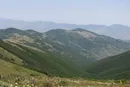 چرا جنگل دیزمار ثبت جهانی نشد؟