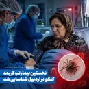 نخستین بیمار تب کریمه‌کنگو در اردبیل شناسایی شد