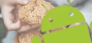 آیا نسخه 8 اندروید Oatmeal Cookie نام خواهد گرفت؟