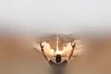 پاسخِ آتشین سپاه در تنگه هرمز