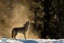 عکس روز نشنال جئوگرافیک