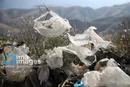 «نه به پلاستیک»؛ درمان کالبد سبز زمین