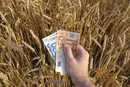 در مورد تخصیص ارزنهاده‌هاما فقط مجری نظر وزارت کشاورزی هستیم