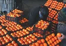 قیمت جدید میوه‌های تنظیم بازاری اعلام شد