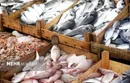 پیشرفت بیمه فراگیر در دام و آبزیان کشور