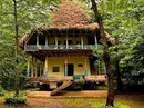 استان گیلان استان سرسبز با مردمانی خونگرم و خوراکی های خوشمزه