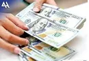 تعهد ارزی؛ عامل بحران در صادرات محصولات کشاورزی