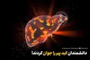 دانشمندان کبد پیر را جوان کردند!