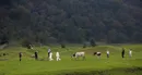 سوادکوه؛ مقصد مسافران در آخرین روزهای تابستان