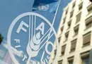 رشد ۲ رقمی تولید گندم و برنج ایران
