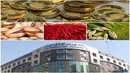 احتمال واردات ۵ میلیون تن گندم