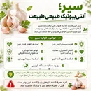 سیر؛ آنتی‌بیوتیک طبیعی طبیعت