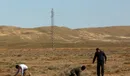 افزایش حداقل ۱۰۰ درصدی تعرفه محصولات جالیزی