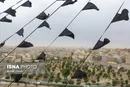 وزش باد شدید از شرق تا غرب کشور