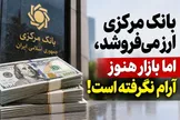 بانک مرکزی ارز می‌فروشد، اما بازار هنوز آرام نگرفته است؛ یک میلیارد دلار کجا معامله شد؟