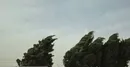 رگبار باران، وزش باد شدید و خیزش گردوخاک در راه برخی استان