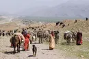 مهلت پرداخت حق بیمه روستاییان و عشایر تمدید شد