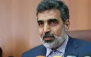 کمالوندی: بازرسان آژانس اخراج نمی‌شوند