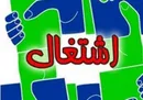 پرورش بوقلمون با سرمایه ۵۰ میلیونی