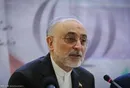 چندین زنجیره سانتریفیوژ مجدد فعال شد/ برق اصلی مرکز غنی سازی نطنز وصل شده است