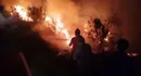 تداوم آتش‌ سوزی‌ها در میانکاله