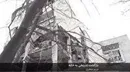 بازگشت تدریجی به خانه