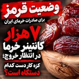 ۷ هزار کانتینر در انتظار خروج؛ خرمای ایران گرفتار مقرراتی که باید فوراً اصلاح شوند!
