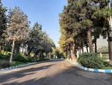 خشک شدن درختان نمایشگاه؛ هزینه انتصاب‌های غیرتخصصی را چه کسی می‌پردازد؟