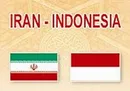 هدفگذاری برای افزایش سطح همکاری های اقتصادی ایران و اندونزی به دو میلیارد دلار