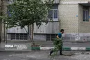 وزش باد شدید و خیزش گرد و خاک در برخی نقاط کشور