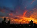 اخراج کارمند افشاگر پس از طرح ادعای سابقه رزمندگی خلاف واقع مدیرعامل اسبق شرکت د. ا. ع.