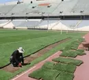 پیشنهاد عجیب انتقال چمن آزادی به اراک