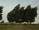 هشدار نسبت به وزش باد شدید در تهران/بارش باران در شمال استان