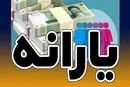 یارانه مادران باردار و دارای کودک زیر ۲ سال شارژ شد