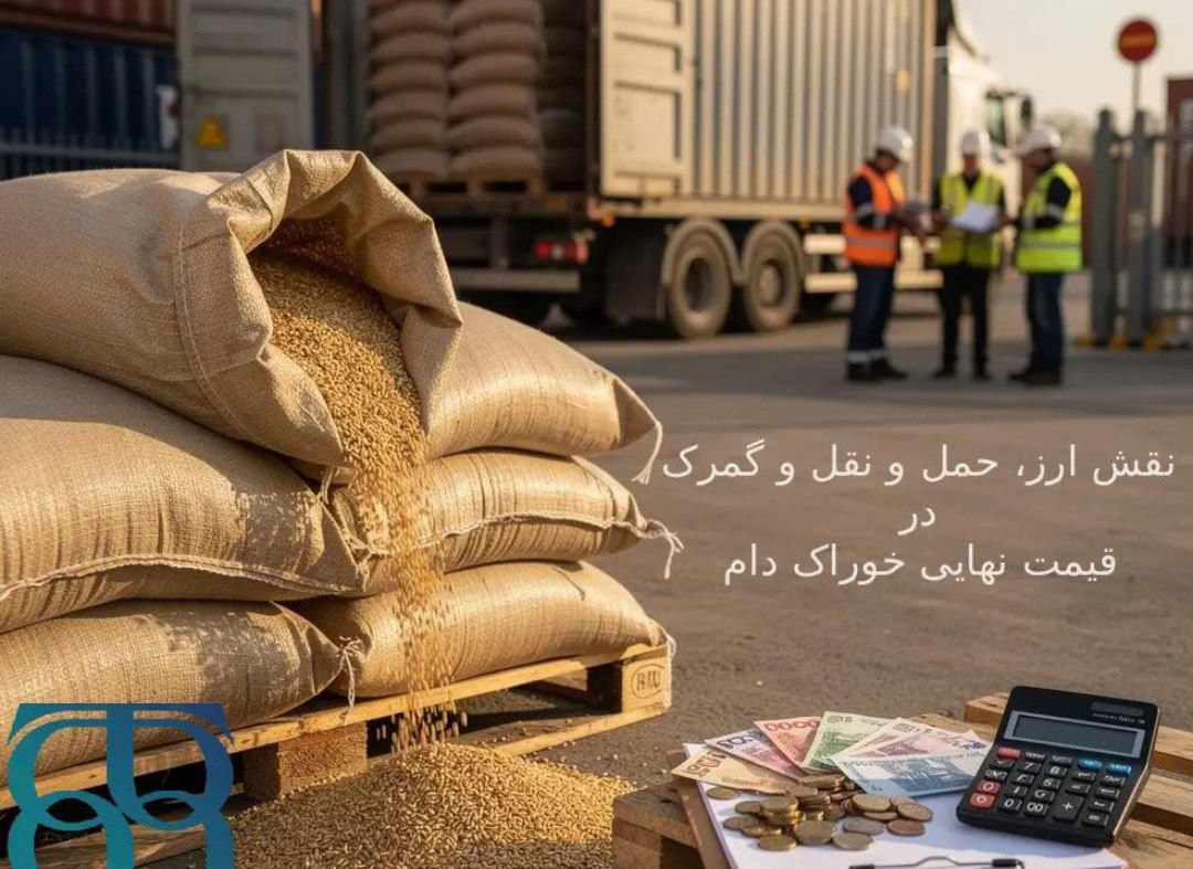 وقتی حسابرسان، قربانی باند مدلل و افراشتهپور شده و برکنار می شوند وقتی حسابرسان، قربانی باند مدلل و افراشتهپور شده و برکنار می شوند