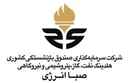 قایم موشک بازی در هلدینگ صندوق بازنشستگی؛ مدیر سرپرستی که برای تثبیت قدرت، از مهندسی انتخابات تا بیتوجهی به حراست را به کار گرفته است