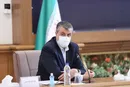 قیمت‌گذاری بلیت هواپیما وظیفه دولت نیست