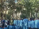 انهدام باند جعل اسناد تجاری و دستگیری ۱۴۵ نفر
