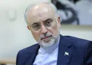 مسائل مالی دلیل عمده عدم دستیابی به اهداف تولید برق هسته‌ای بوده است